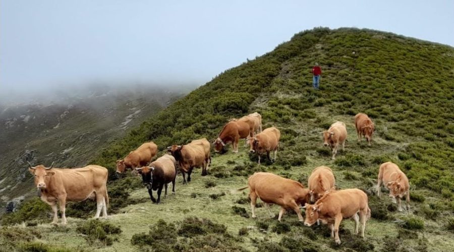 landing-page-video-2